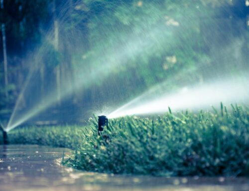 Landscape Management for Persistent Drought