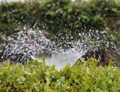 Smart Controllers and Efficient Irrigation Systems