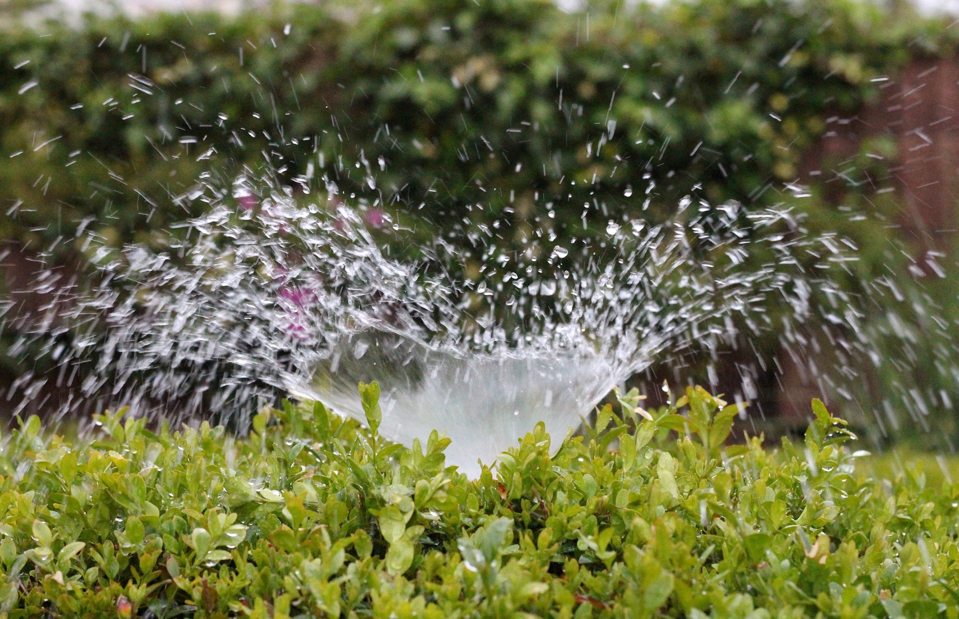 Sprinkler bubbling inefficiently