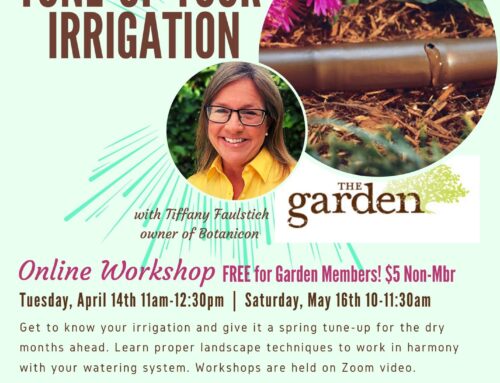 Spring Irrigation Tune-Up