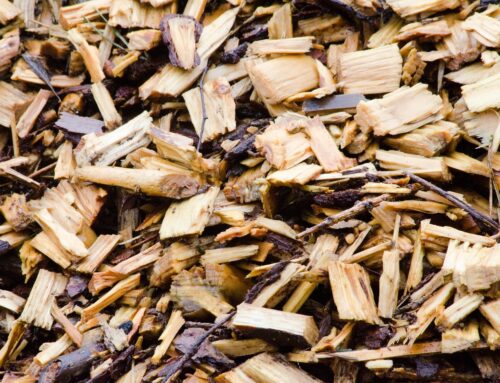 Mulch is the Answer!