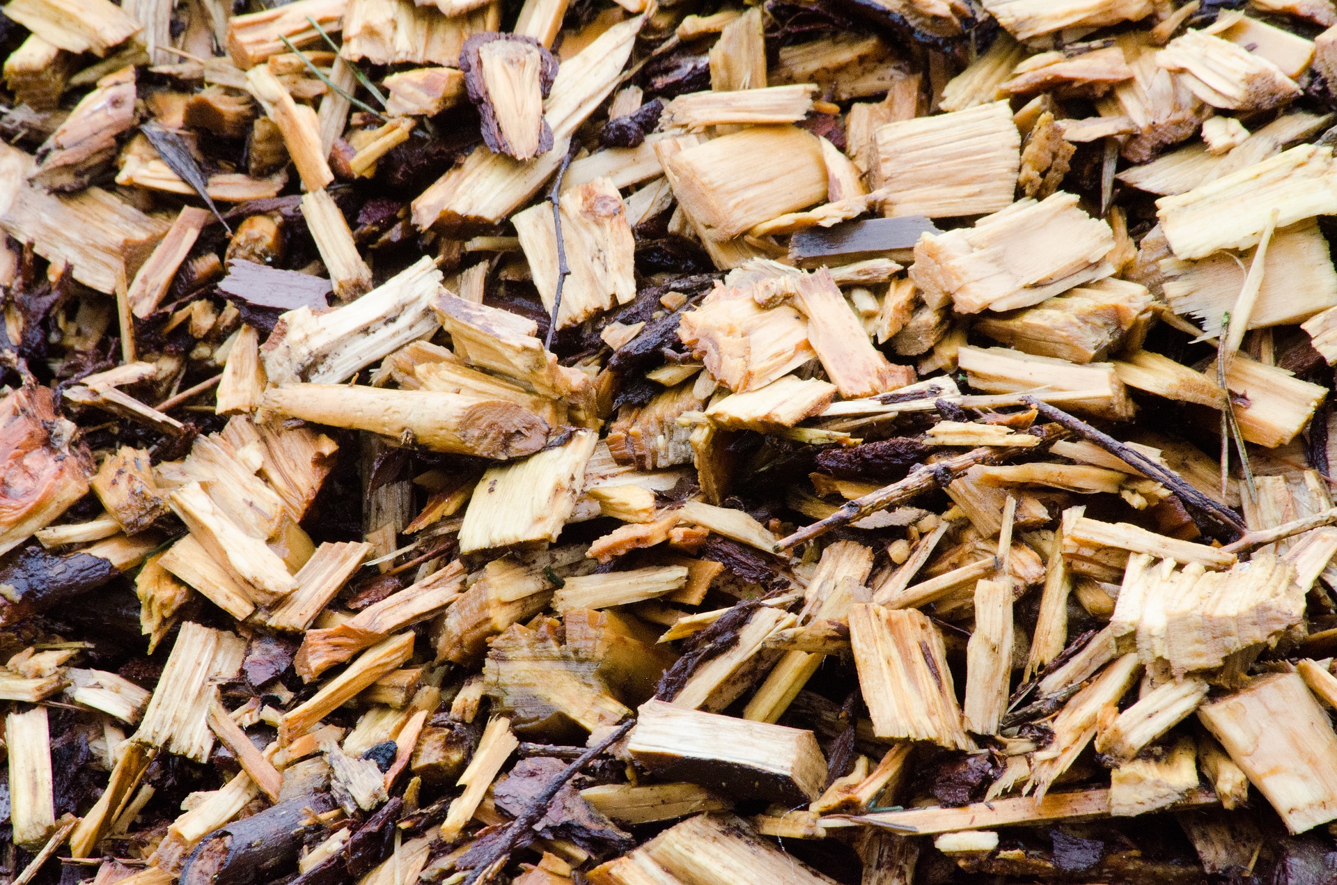 wood chip mulch