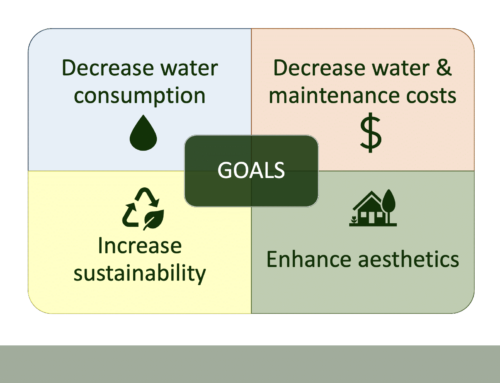 Guiding Your Landscape into the Future