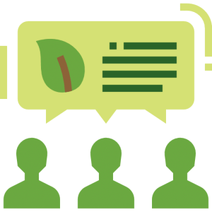 Set Up a Management Plan