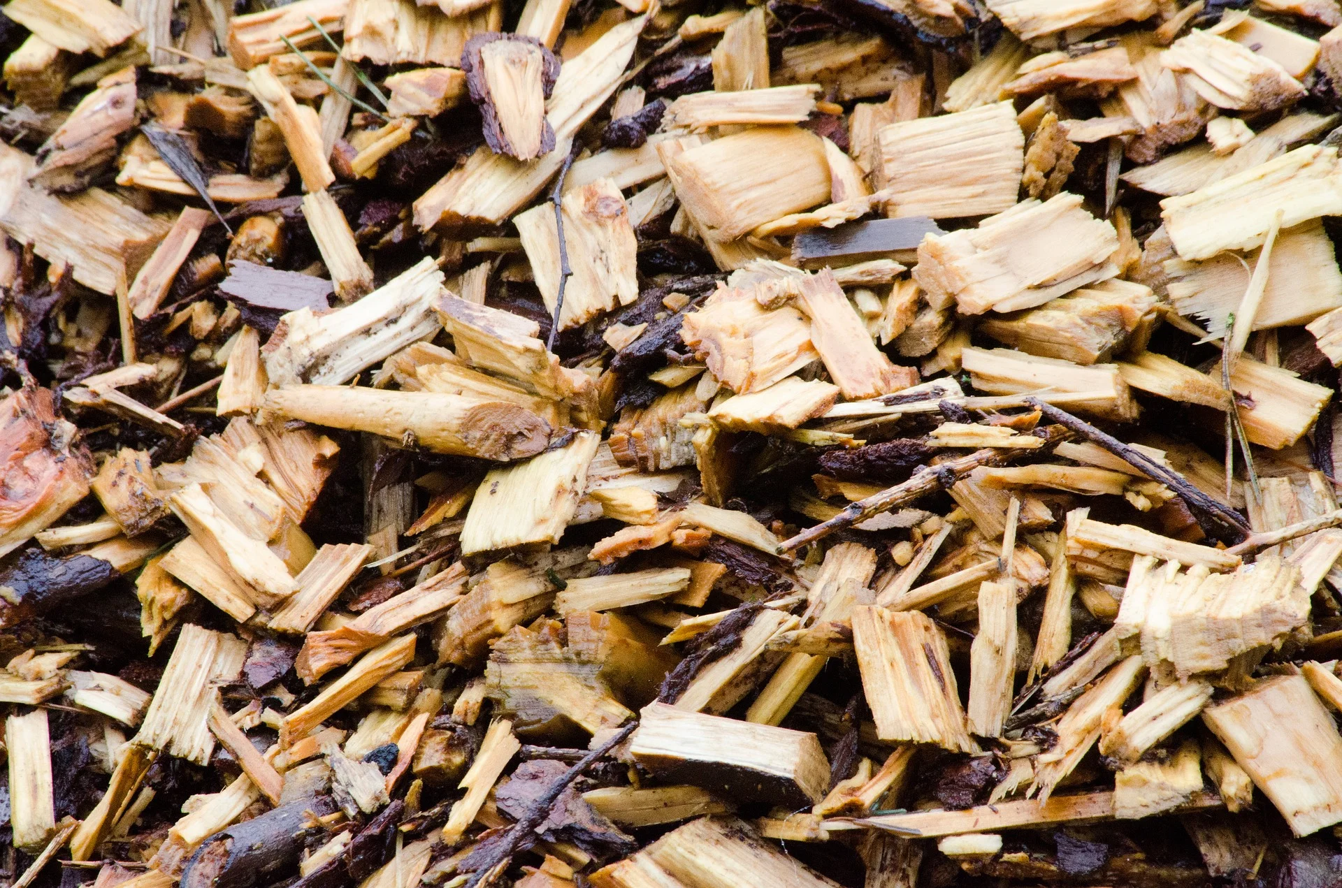 Mulch is the Answer!