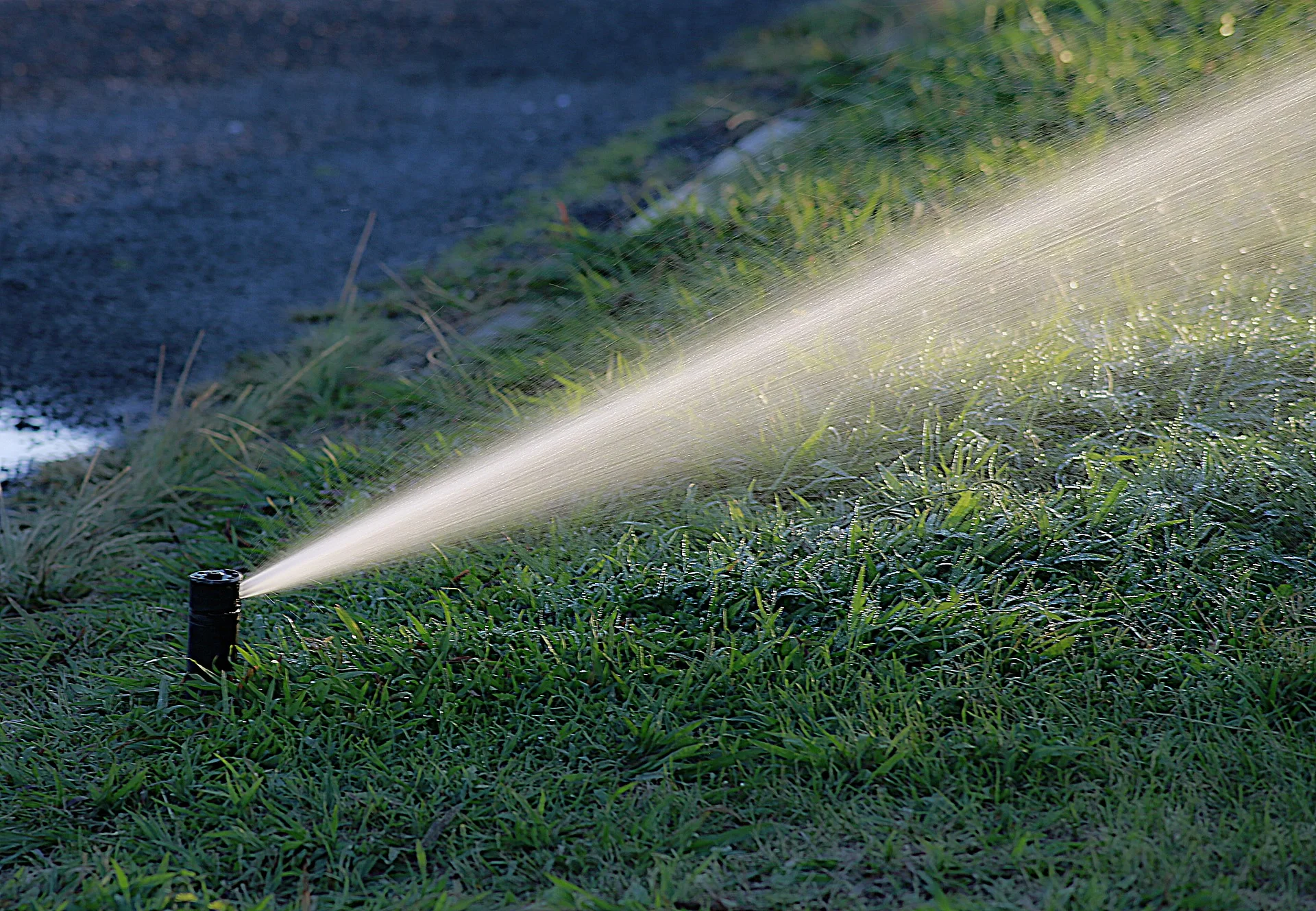 Irrigation sprinkler head watering turf